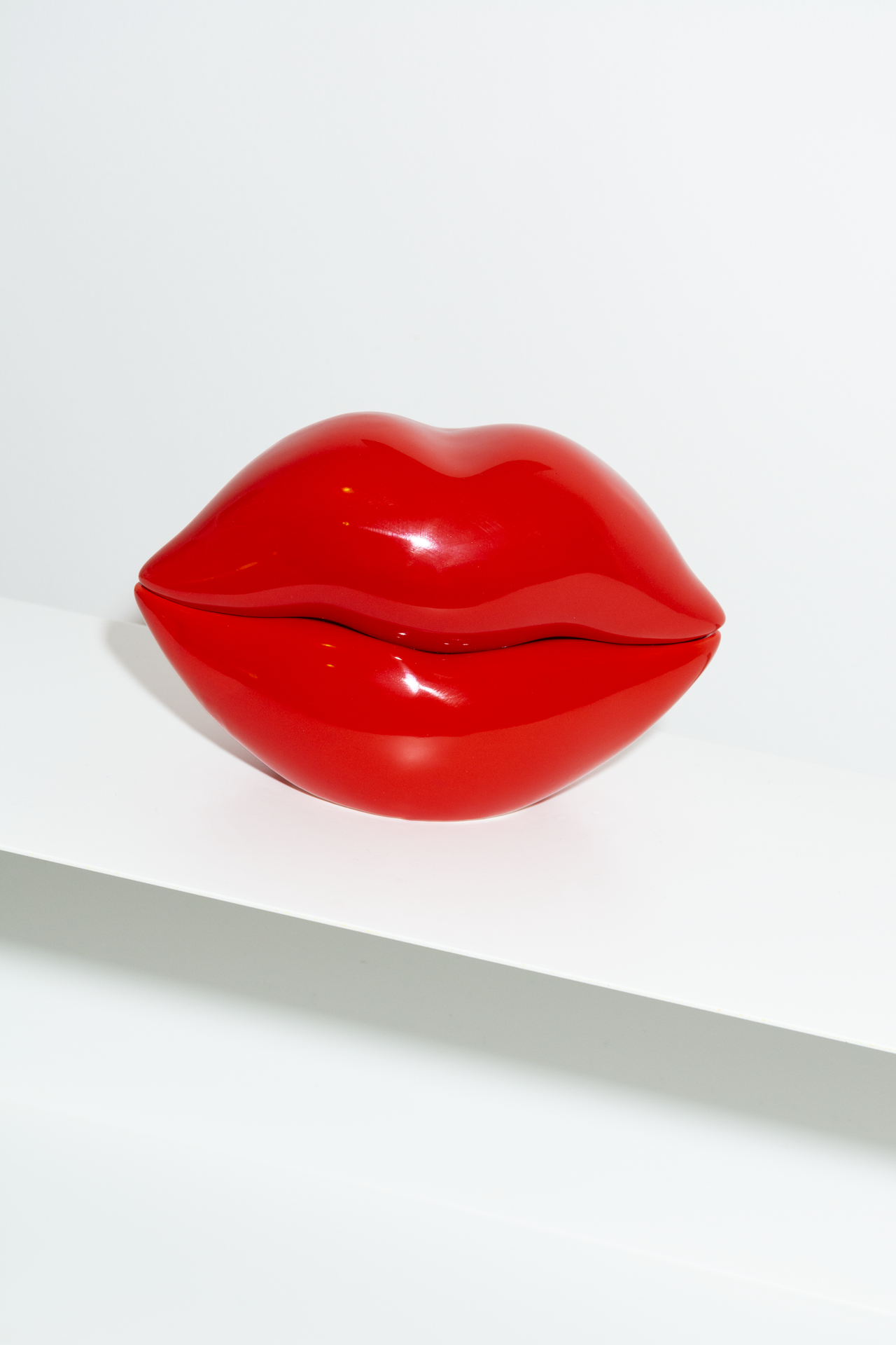 Red Lips mini storage